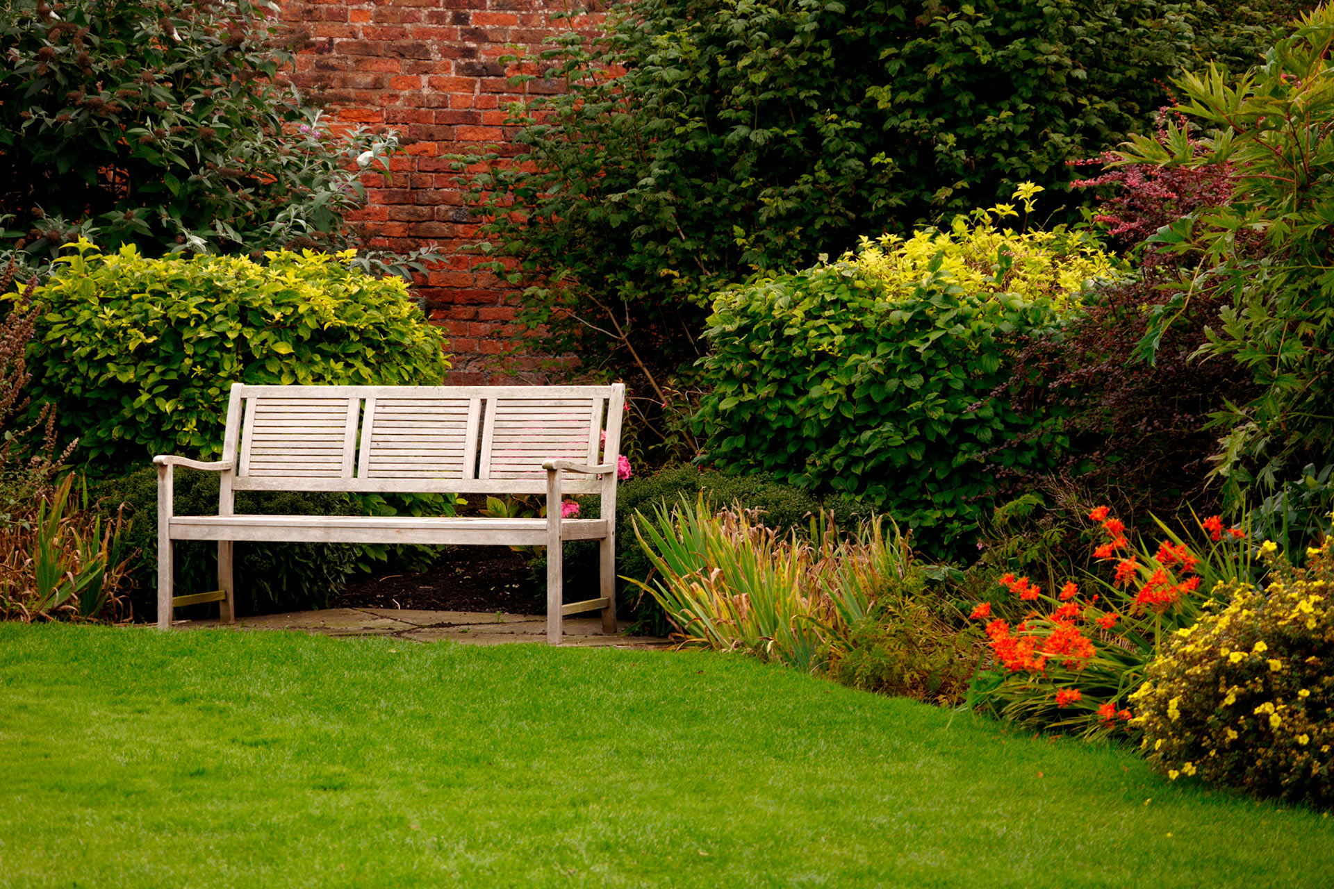 Jardines y área comun